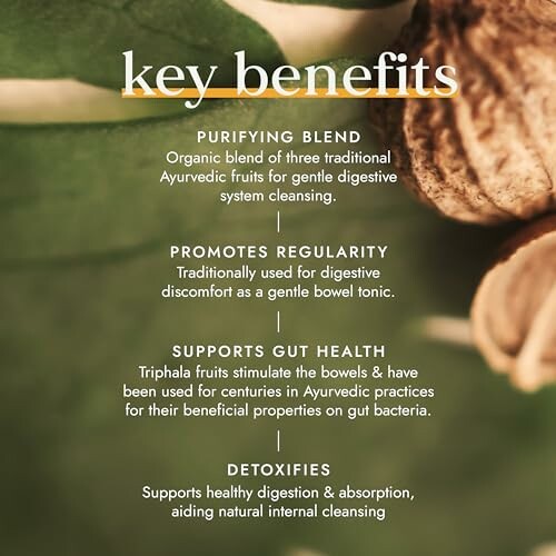 Poster highlighting key benefits of Ayurvedic fruits for digestion and gut health.